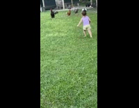 Young girl purple top approach chickens backyard