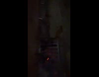 Man throws a firecracker in the sewer