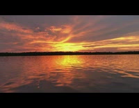 Collab DailyDoseOfInternet - Sunset orange sky from boat lake trees
