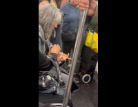 Woman hold two bearded dragon inside train