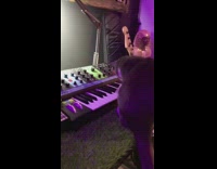 Collab Clips mpugc - Cat plays with owners synth piano