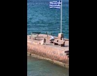 Couple take turns to pose Greece flag Part 2