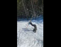 Collab Scorpionmasters - Man Gray Suit Fails Ski Backflip and Lands Head First