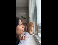 Woman and cat meowing at window 
