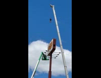 Woman reacts to cracker barrel changing signage