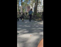 Woman walk small dog with shoes park