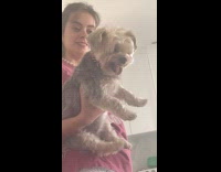 Dog goes into attack mode with word Dracarys 