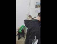 Guy cook potatoes while cat in hoodie