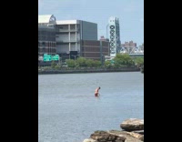 Man swims on river at randalls island
