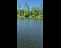 9 year old boy feeds a fish to an eagle