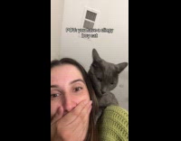 Collab Clips_MPUGC2 - Clingy cat randomly jumps on hoomans shoulder 