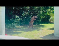 Dinosaur costume dance backyard