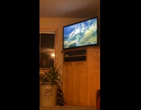 Black dog loves to watch internet videos