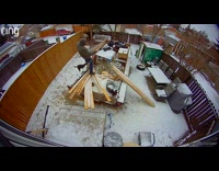 Man carry shovel slip on wood snow