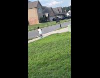 Kid rides scooter smooth turn at yard