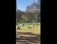 Men dressed as minions at park