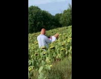 Girl brown hat smell dead sunflower field