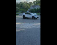 Rich guy steps out of car and picks flower from mansion 