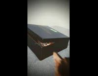 Cat hide inside box reaches out