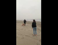 Man cover book jog pet dog beach