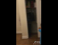 Little boy throws sticky nipple pasties wall 