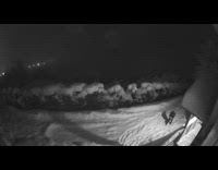 Guy looks for dog slips falls snow 