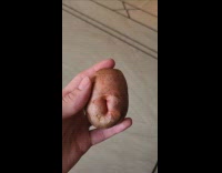 Submitter shows potato with butt