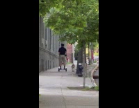 Guy walking dog on sidewalk while riding a segway 
