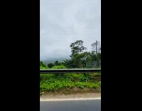 View of trees and river during rain 