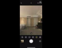 Group of girls play hide and seek