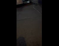 Collab Clips MPUGC - Older dog steals birthday cookie from younger dog