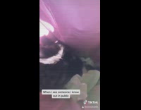 Girl scares sleeping cat in trash