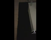 Girl accidentally dresses on black kitten on floor 