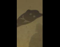 Fun mask shadows along the street 