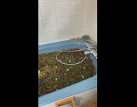 Collab BitchMP - Guy orbeez overflow bathroom 1