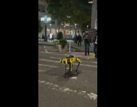 Animal robot walks across the street carry gadgets at night 
