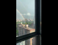 Rainbow arch over central park trees
