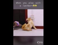 When you play with a last born 