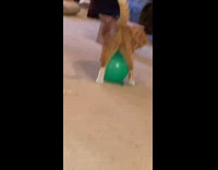 Collab Clips mpugc - Orange cat walking with green balloon stuck between legs