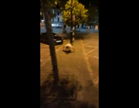 Drunk guy trying to box tree steps backwards and trips 