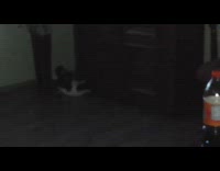 Cat runs into and breaks red vase 