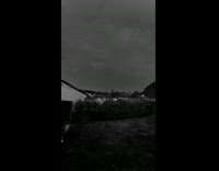 Man gestures at lightning at the right time 