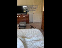 Woman adopted cat from local shelter