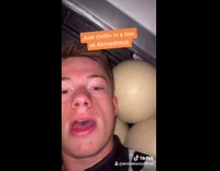 Collab BitchIG2 - Guy chilling inside of box balls bird