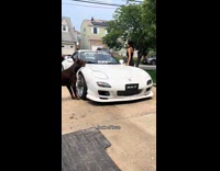Dog leans on car stares at woman