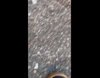 Black butt plug lying on the street