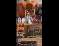 Woman in brown dress poses at the pumpkin house