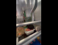 Woman opens fridge and takes cat inside