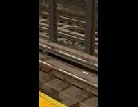 Collab winy - Rat Hops as it Lingers Under Train Tracks