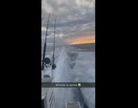 Guy jumps off moving boat into water